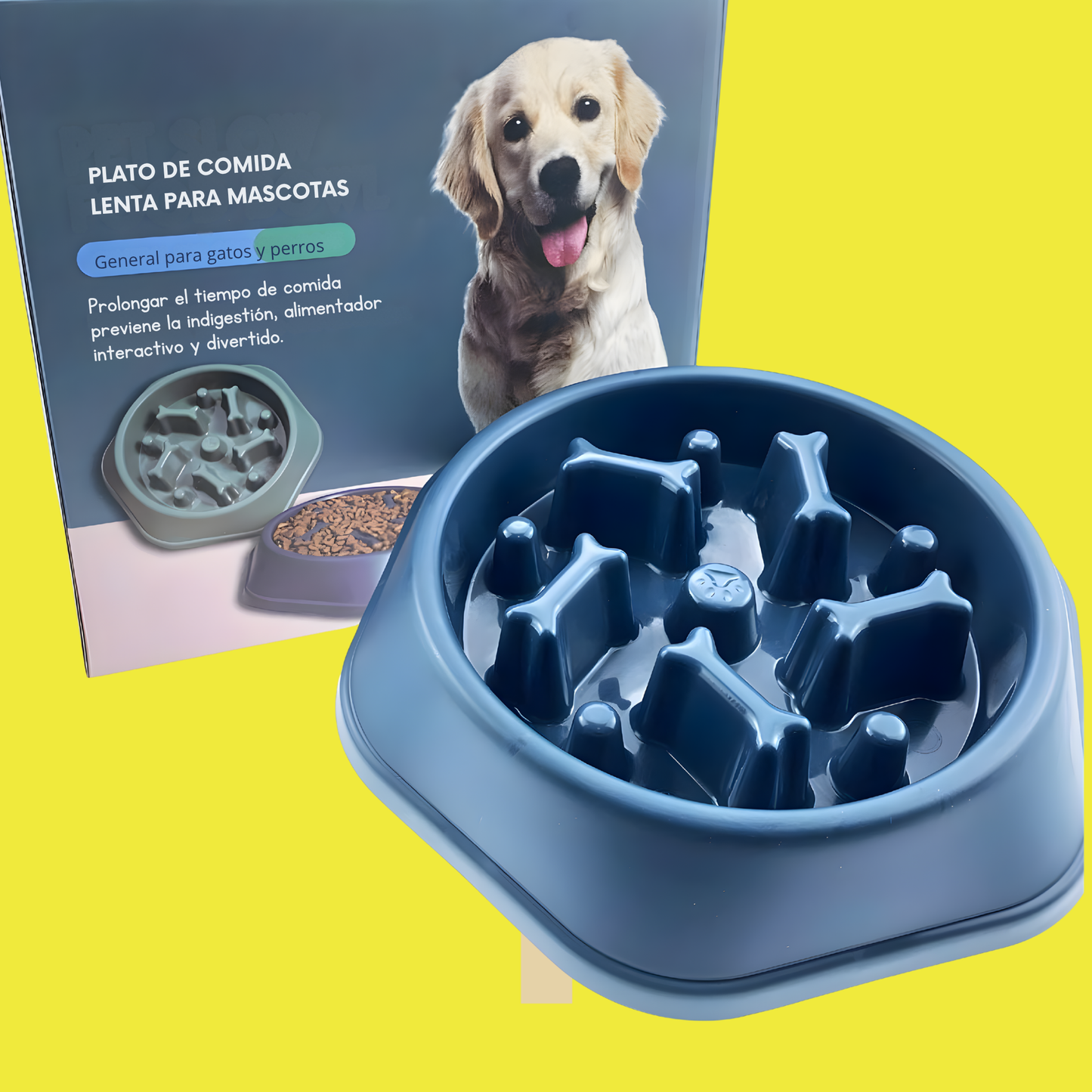 Plato para Comer Despacio