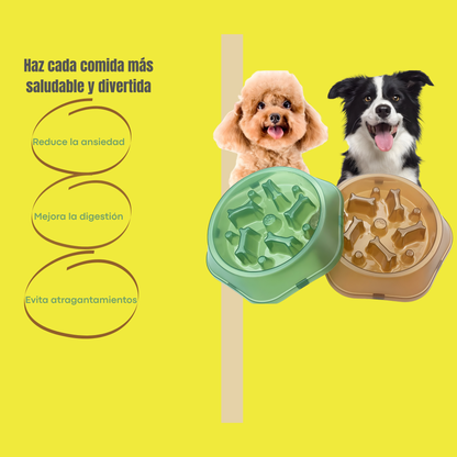 Plato para Comer Despacio