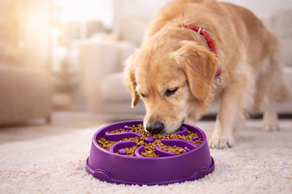 CalmFeeder™ Bowl