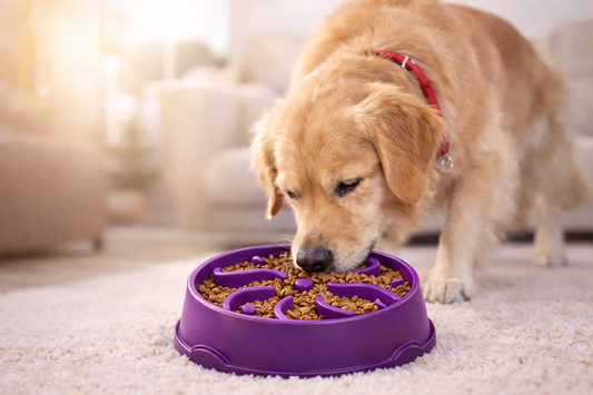 CalmFeeder™ Bowl